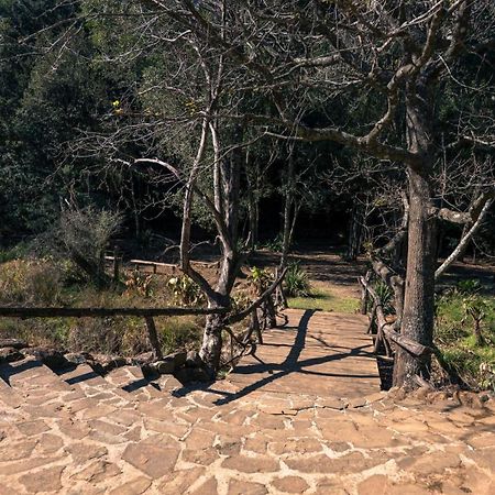 קוקסטאד Anew Resort Ingeli Forest Kokstad מראה חיצוני תמונה